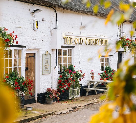 The Old Cherry Tree, Great Houghton - Gold 3D Letter Sign